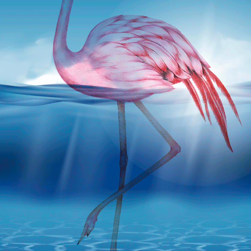 Poster wohnzimmer mit unterwasserdesign von flamingos - TenStickers