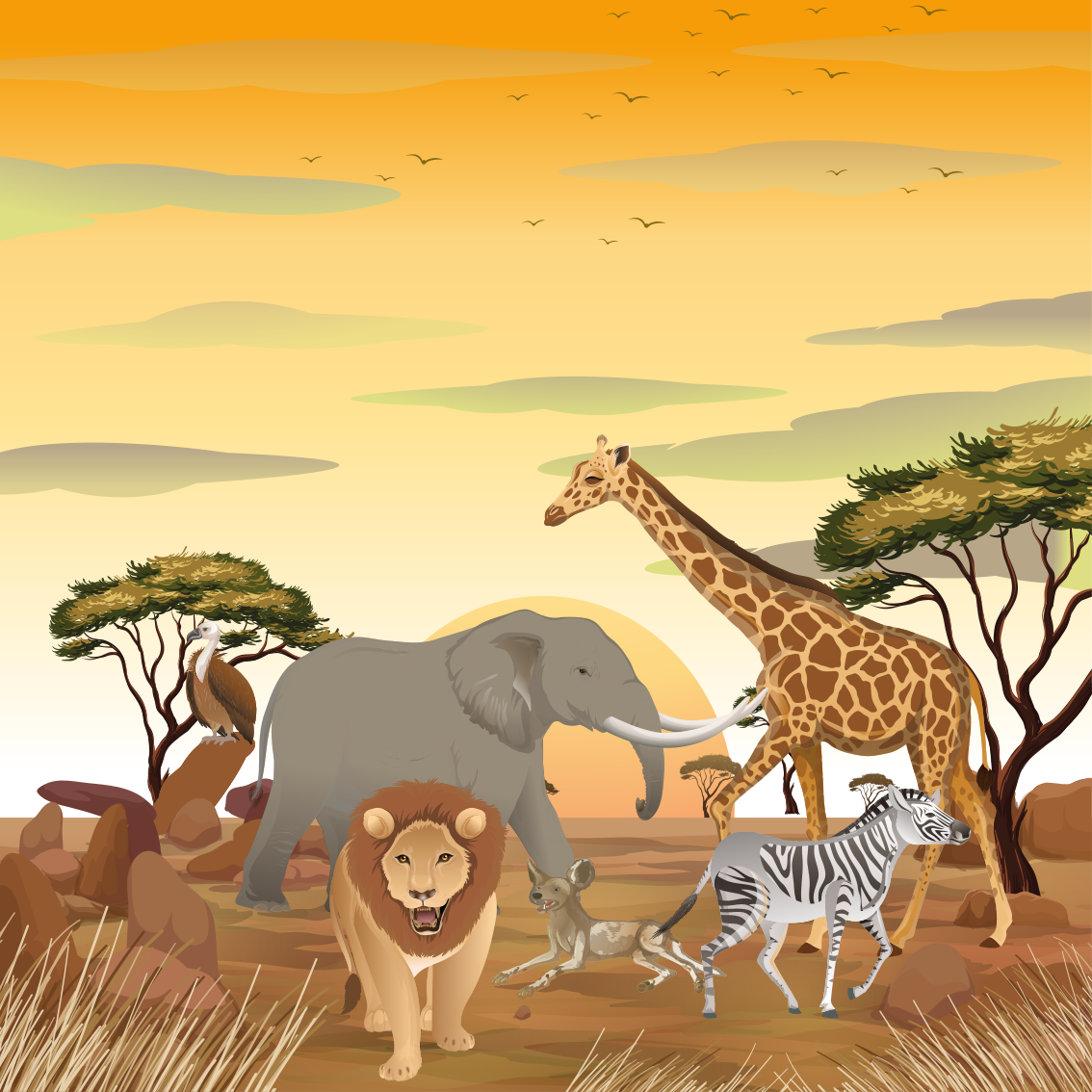Poster kinderzimmer afrikanische tiere mit pflanzen - TenStickers