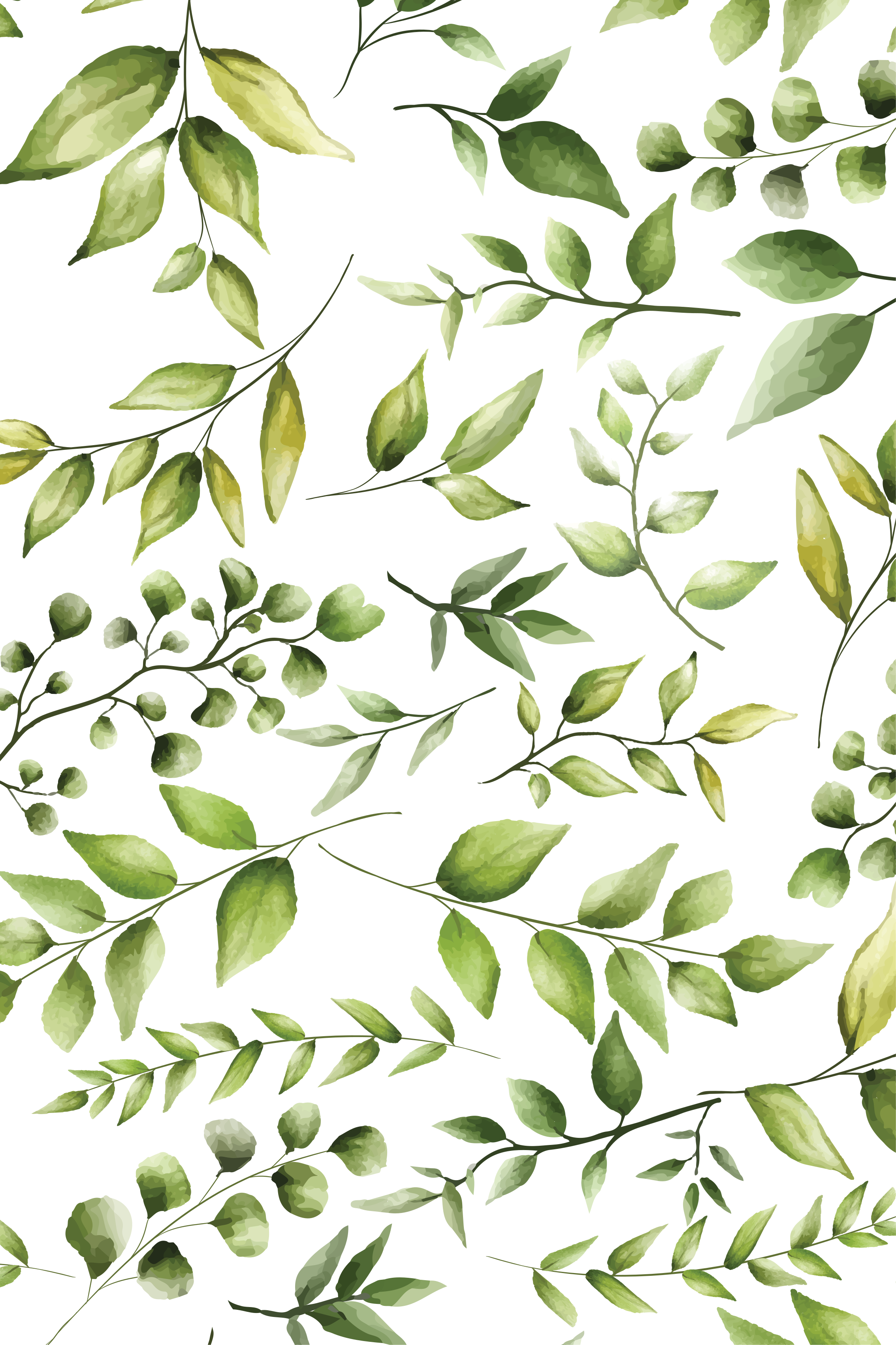 Poster pflanzen aquarell eukalyptusblätter - TenStickers