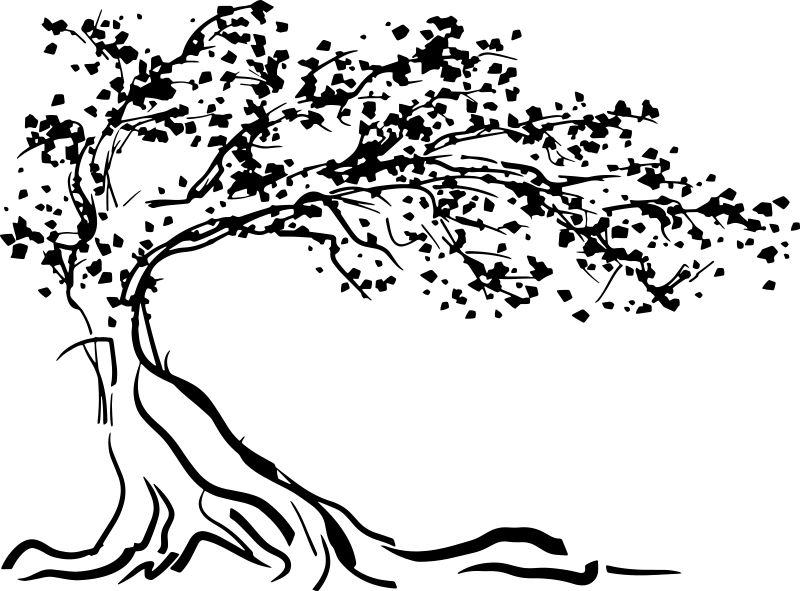 Poster baum dekoratives wandtattoo mit wind - TenStickers