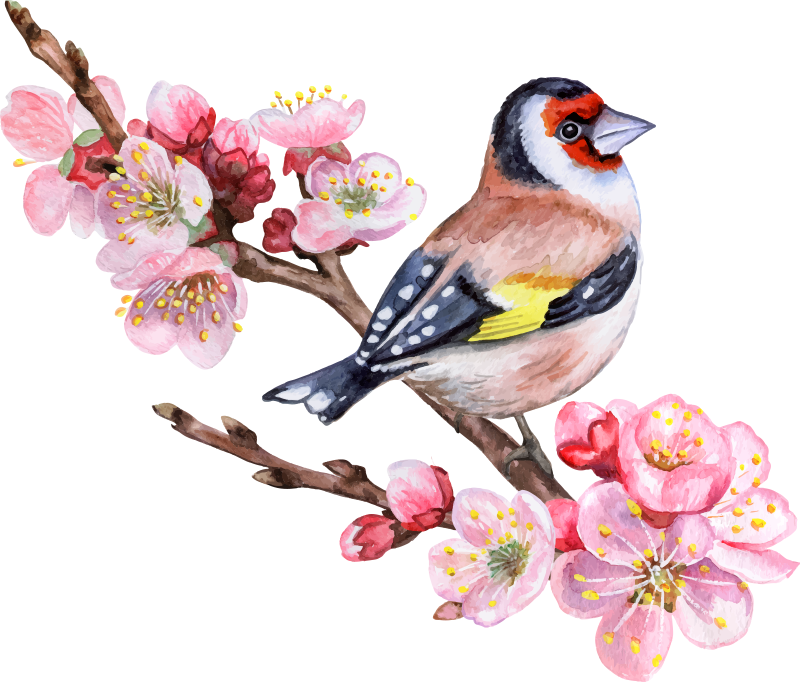 Poster baum mit frühlingshaften Ästen und vögeln - TenStickers