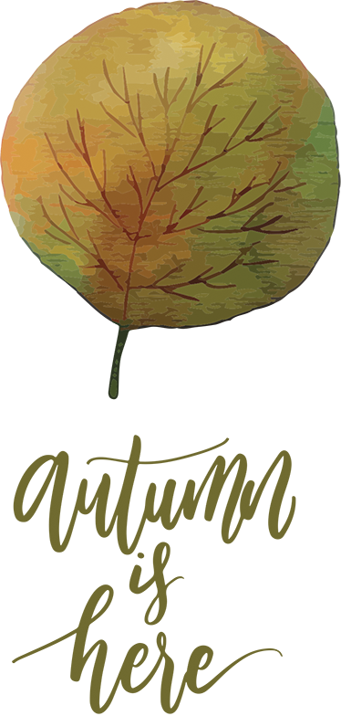 Poster baum vinilos herbst die zeit ist da - TenStickers
