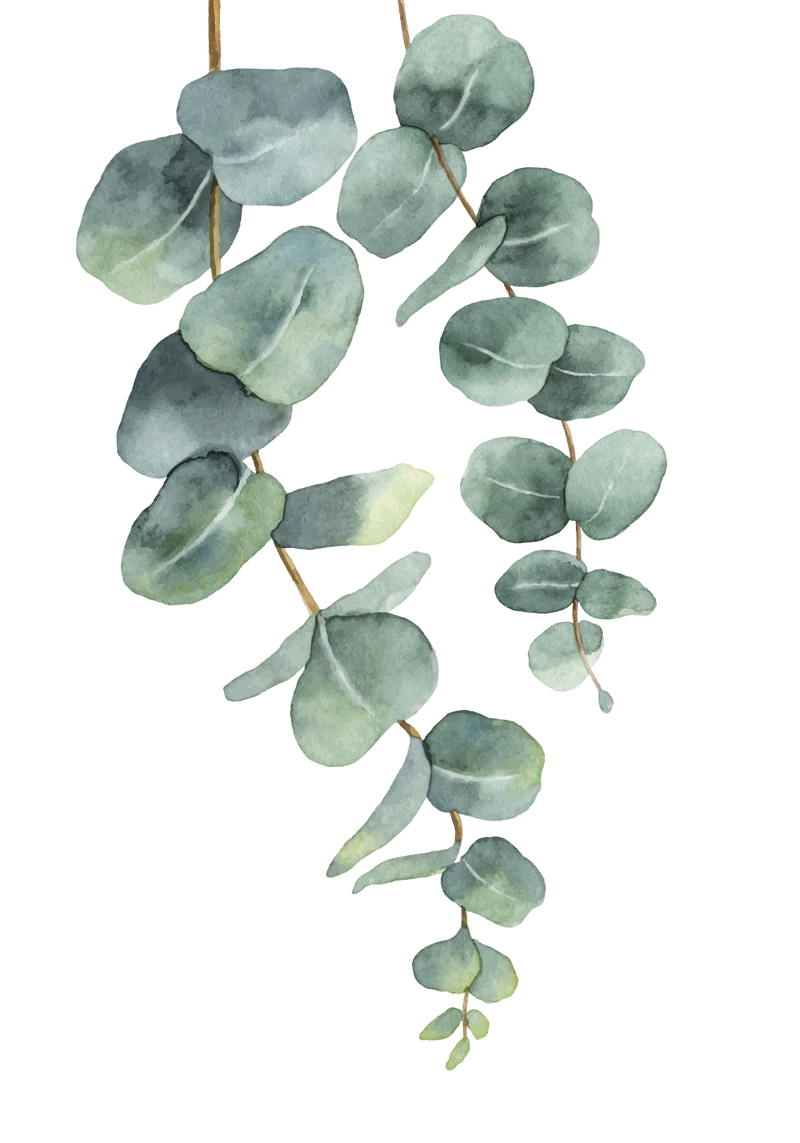 Poster baum mit eukalyptuszweigen - TenStickers