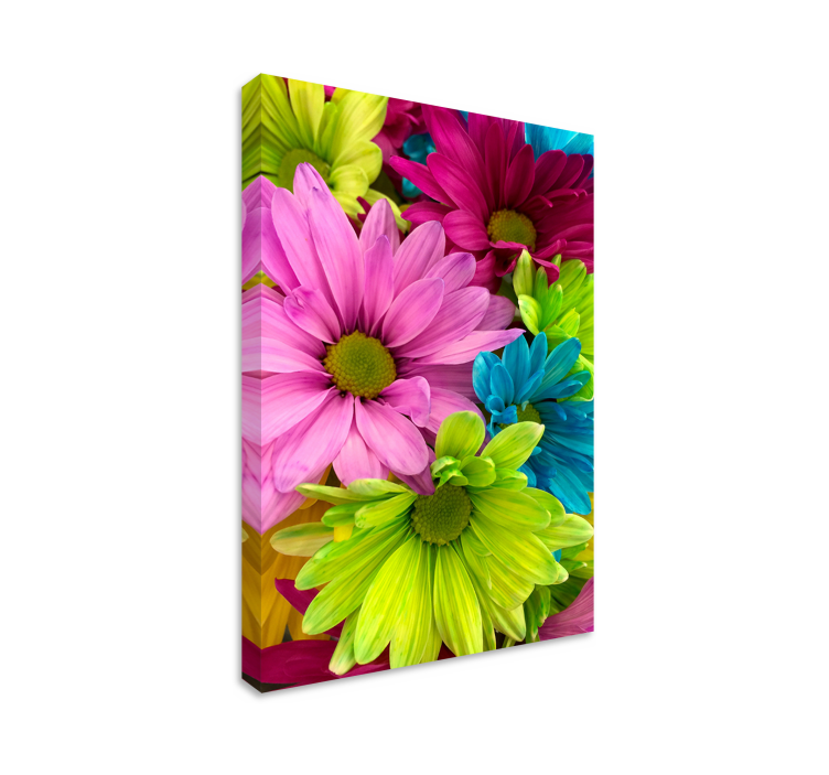 Leinwandbild Blume Farbenfrohe blumen - TenStickers