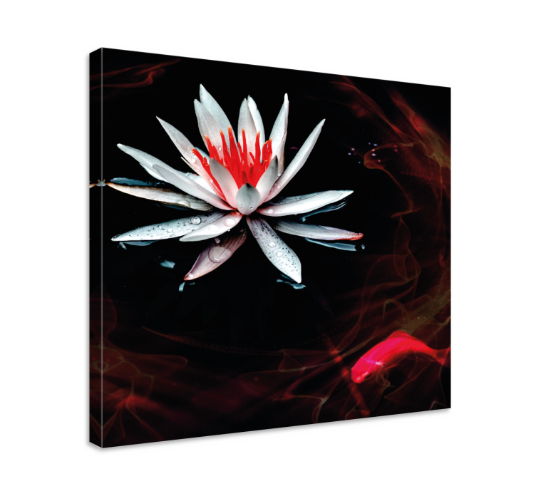 Leinwandbild lotus auf wasser - TenStickers