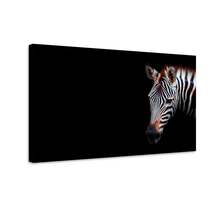 Wandbild tier zebra nahaufnahme - TenStickers