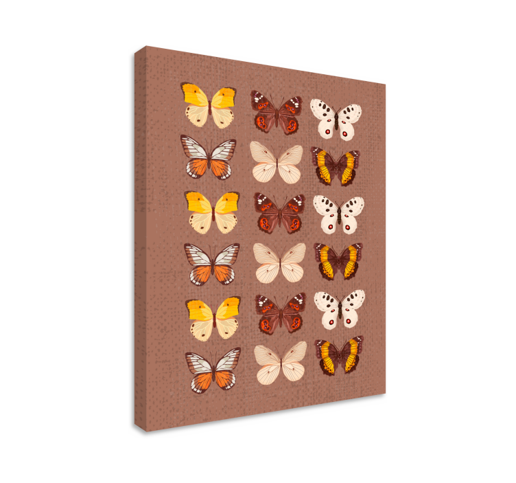 Wandbild schmetterling buntes schmetterlingsdisplay - TenStickers