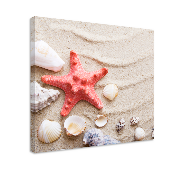 Wandbild Tier Seesterne und muscheln auf sand - TenStickers