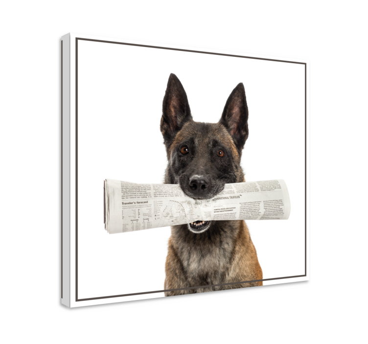 Wandbilder hunde mit zeitung tragend - TenStickers