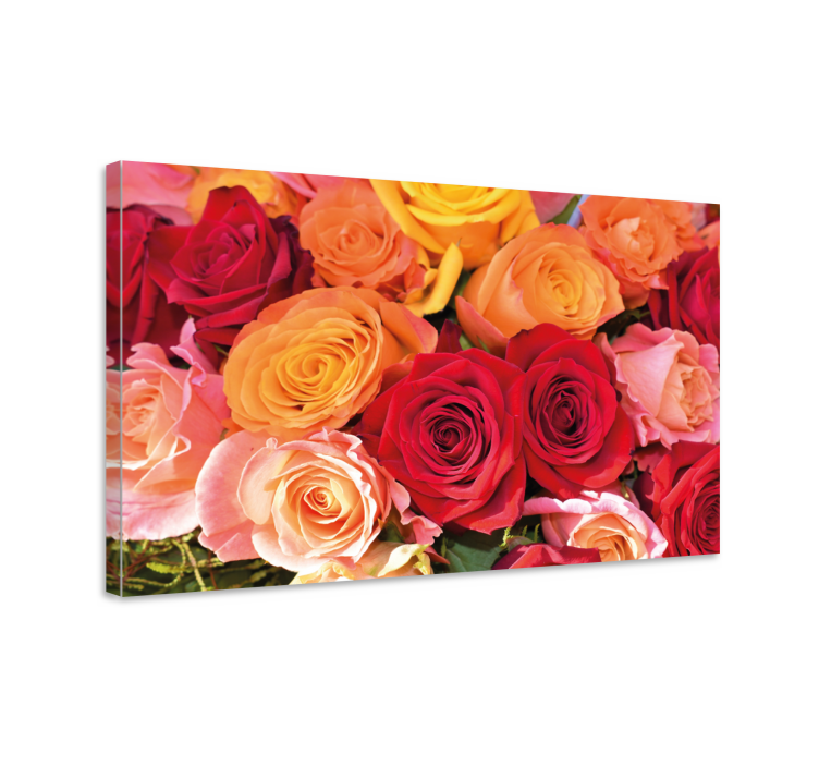 Leinwandbild Blume Orangerote und rosa rosen - TenStickers