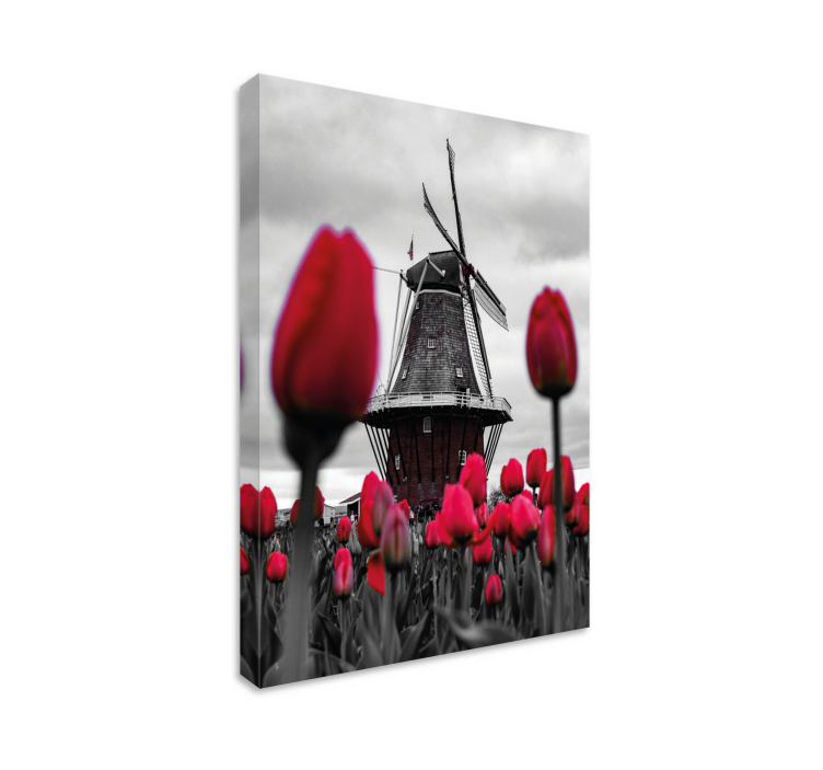 Wandbilder landschaft mit windmühle und tulpen - TenStickers