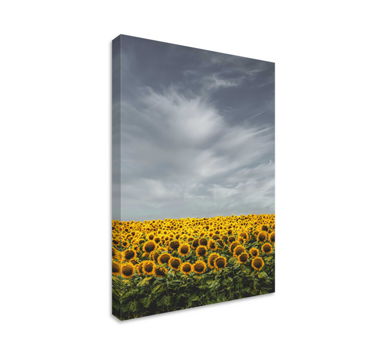 Leinwandbild sonnenblumenwiese - TenStickers