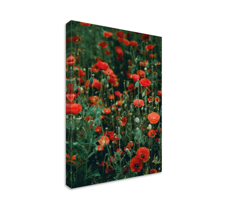 Leinwandbild rotes wildblumenfeld - TenStickers