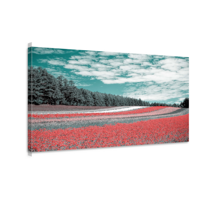 Wandbilder landschaft blühendes blumenfeld - TenStickers