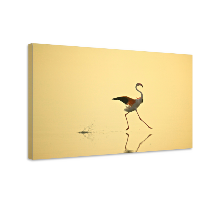 Leinwandbild vogel eleganter flamingo tanz - TenStickers