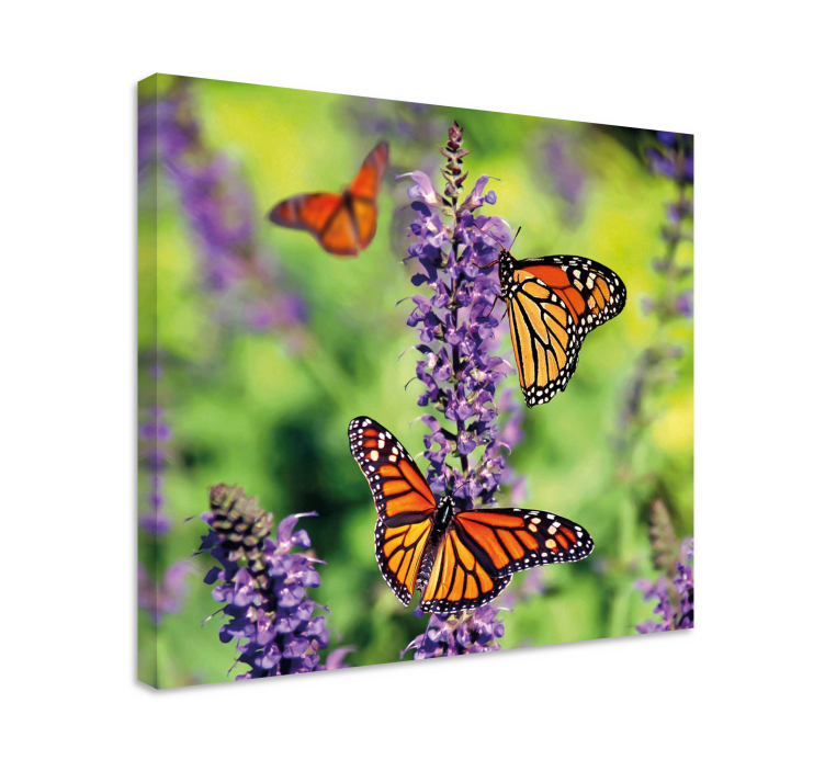 Wandbild schmetterling monarchschmetterlinge versammlung - TenStickers