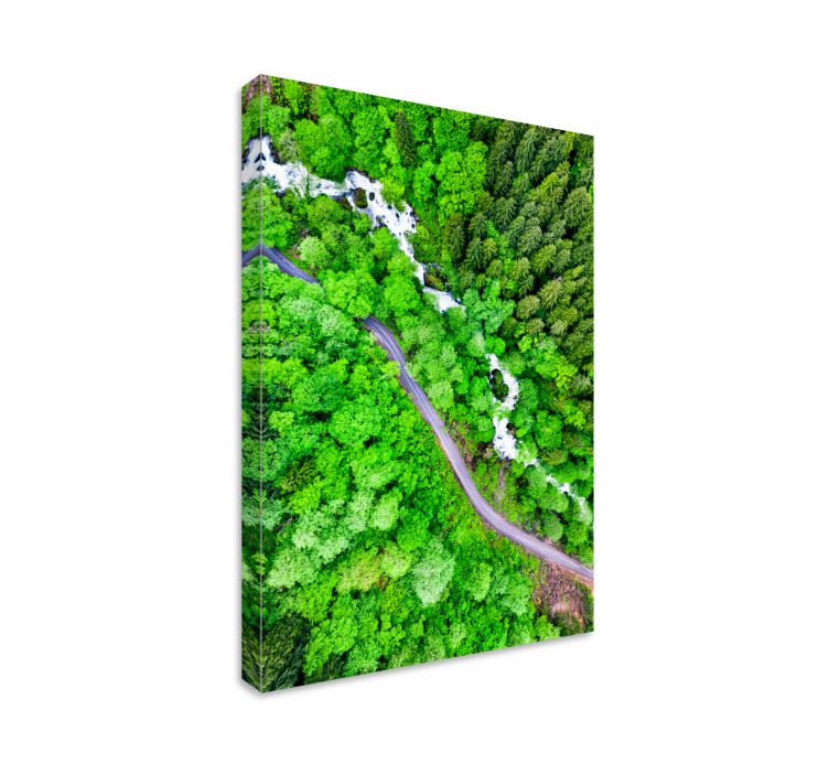 Wandbilder landschaft fließender waldfluss - TenStickers