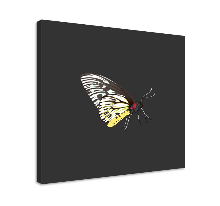 Wandbild schmetterling elegantes profil - TenStickers