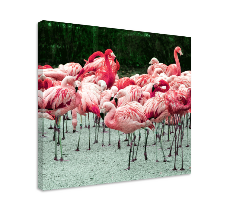Wandbilder hunde flamingo schwarm - TenStickers