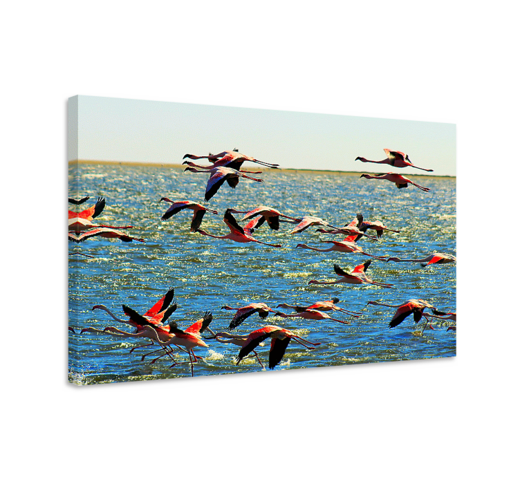Leinwandbild vogel flamingos im flug - TenStickers