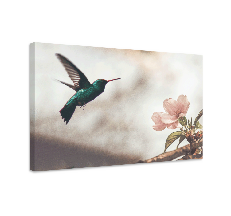 Leinwandbild vogel kolibri und blüten - TenStickers