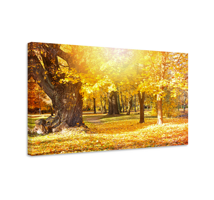 Wandbild baum herbstwaldweg - TenStickers