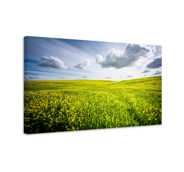 Wandbilder landschaft lebhaftes gelbes feld - TenStickers