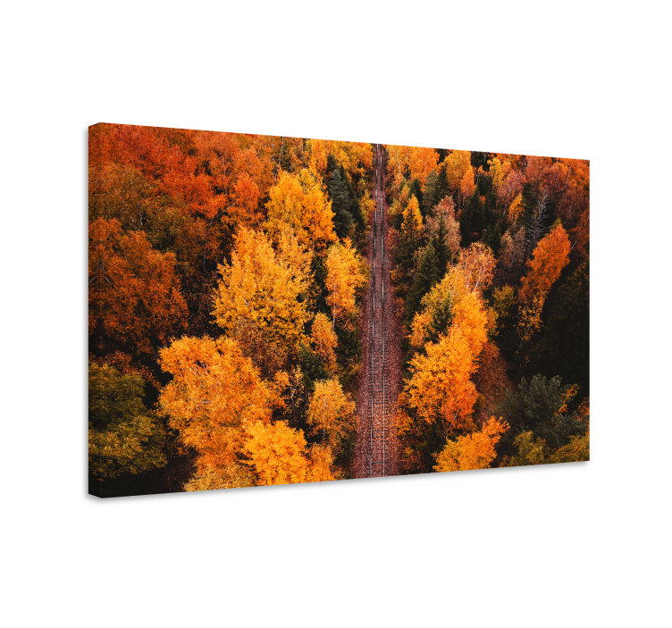 Wandbilder landschaft herbstlaubweg - TenStickers