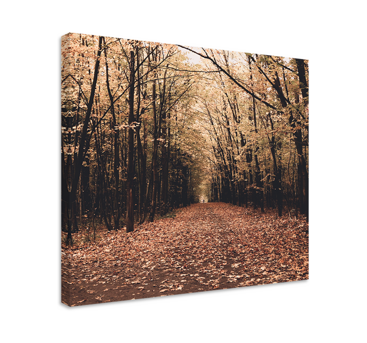Wandbilder landschaft herbstweg szene - TenStickers