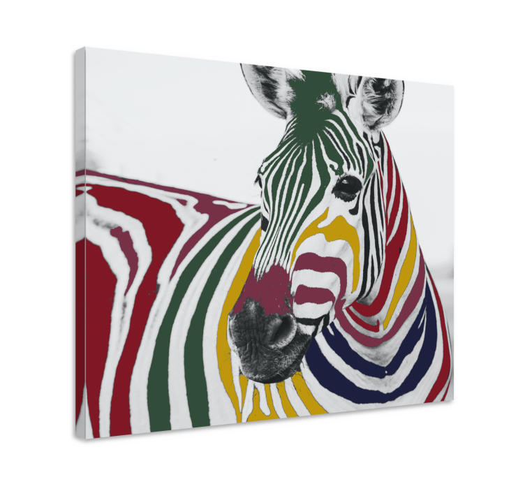 Wandbild tier buntes zebra porträt - TenStickers