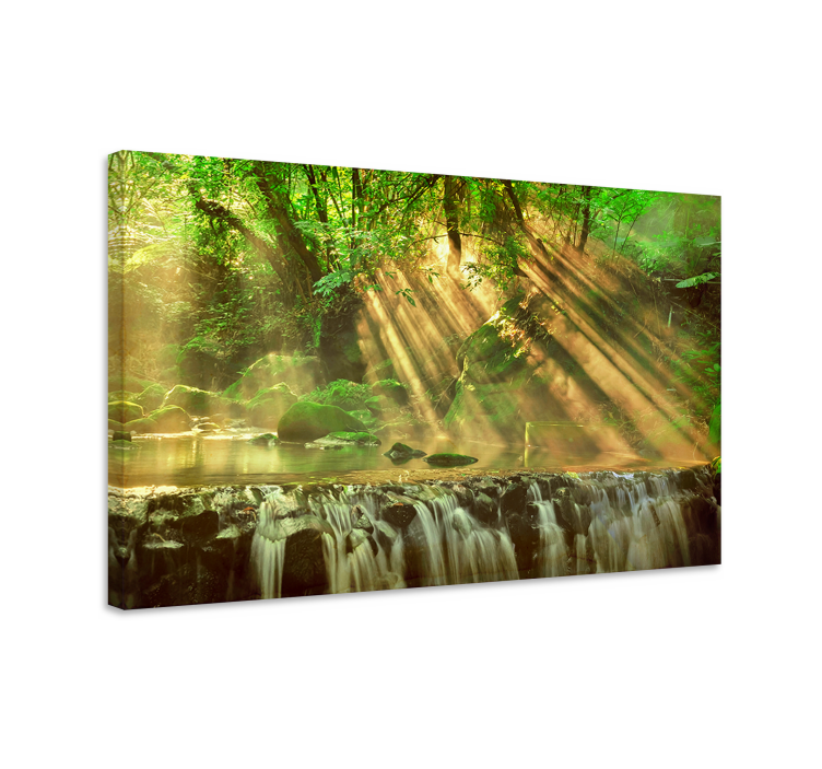 Wandbilder landschaft sonnenbeschienener waldfluss - TenStickers
