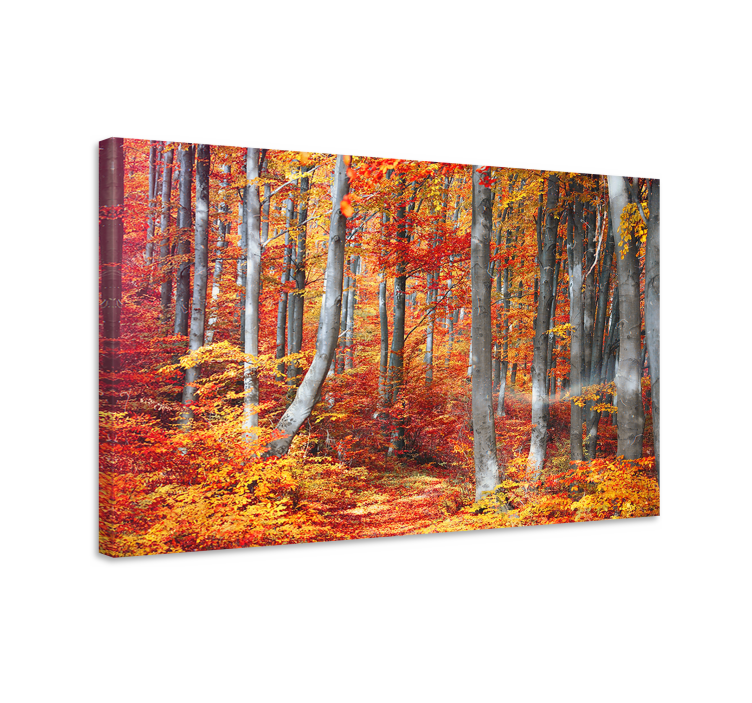 Wandbilder landschaft herbstwaldwege - TenStickers