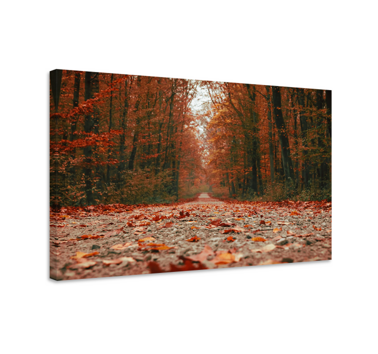 Wandbilder landschaft herbstpfad - TenStickers