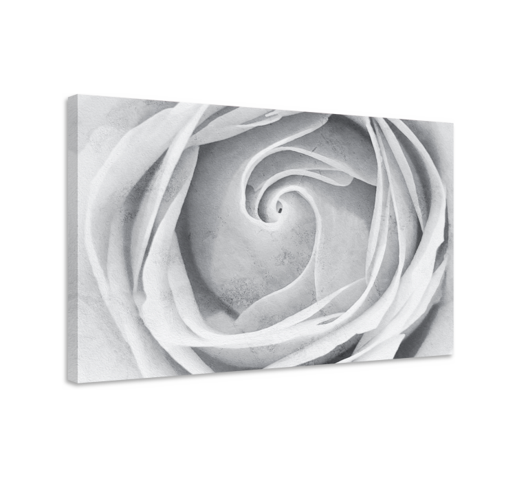 Leinwandbild elegante rosen spirale - TenStickers