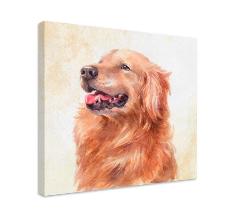 Wandbilder hunde golden retriever illustration - TenStickers