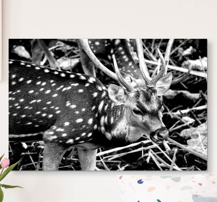Hirsch Bild Leinwand elegantes graustufenporträt - TenStickers