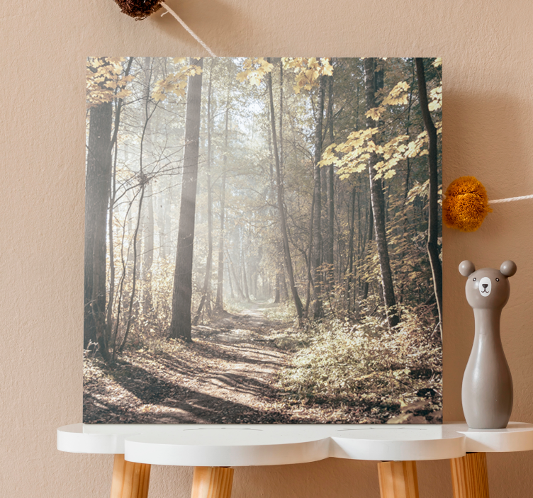 Wandbild Baum "natur" sonnenlicht im wald - TenStickers