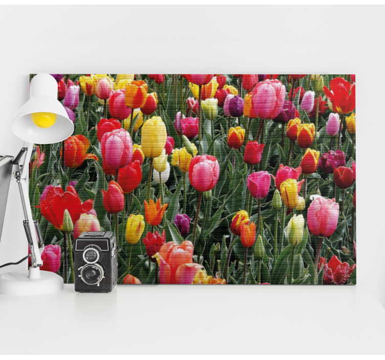Leinwandbild bunte tulpenblüten - TenStickers