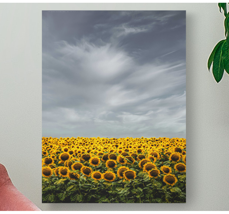 Leinwandbild sonnenblumenwiese - TenStickers