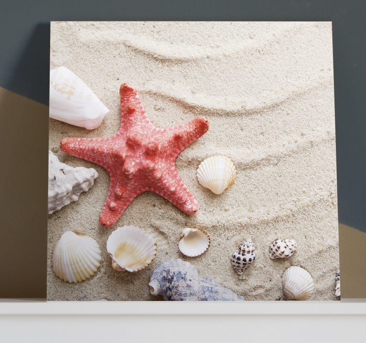 Wandbild Tier Seesterne und muscheln auf sand - TenStickers