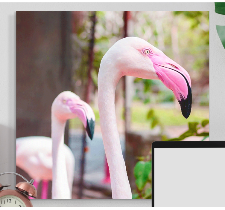 Leinwandbild vogel elegante flamingos zusammen - TenStickers