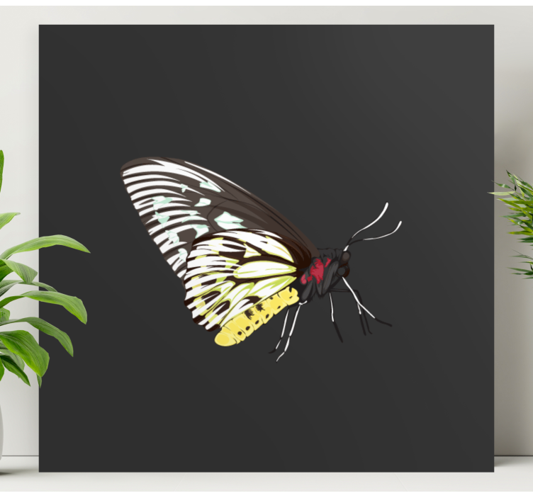 Wandbild schmetterling elegantes profil - TenStickers
