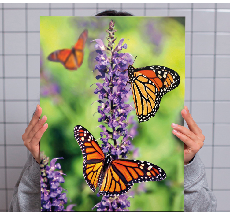 Wandbild schmetterling monarchschmetterlinge versammlung - TenStickers