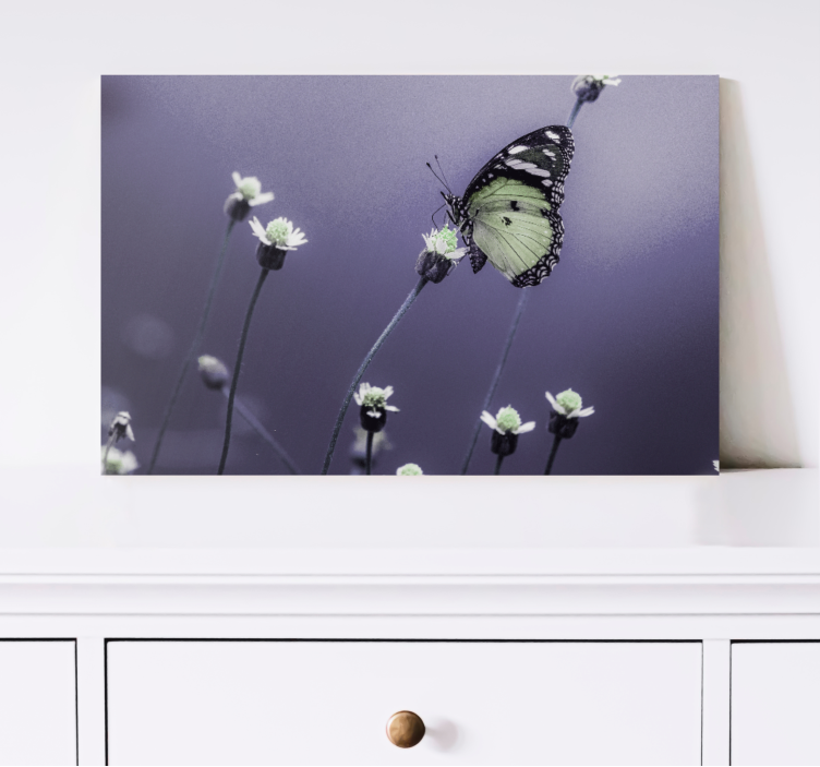 Wandbild schmetterling unter blumen - TenStickers