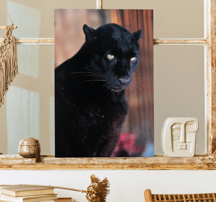 3D Wandbilder Leopardenpirschen - TenStickers