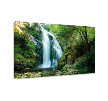 Leinwandbild Baum Wasserfall im wald - TenStickers