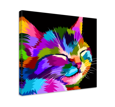 Leinwandbild Katze Regenbogenkatze - TenStickers