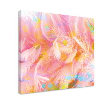 Wandbild federn zarte federdesigns - TenStickers