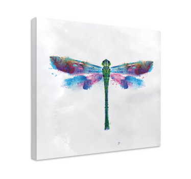 Leinwandbild libelle buntes libellen design - TenStickers