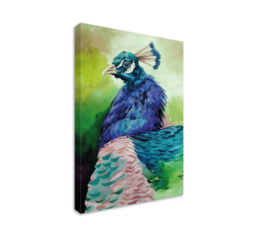 Leinwandbild vogel majestätisches pfauenporträt - TenStickers